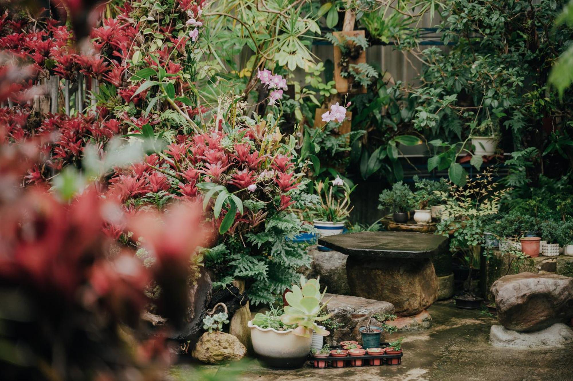 藴慢築 茶花藝主題民宿 Yun Man Zhu Homestay Gongguan Luaran gambar